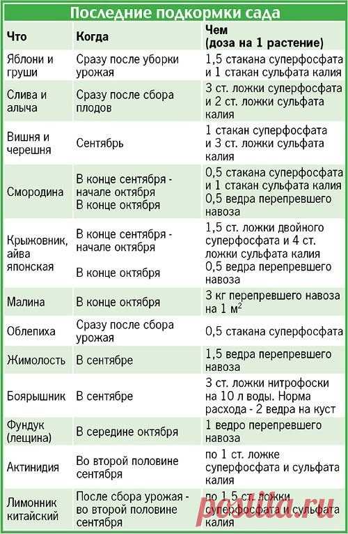 ПОДГОТОВКА ПЛОДОВЫХ ДЕРЕВЬЕВ К ЗИМЕ.

1. Накормить.

