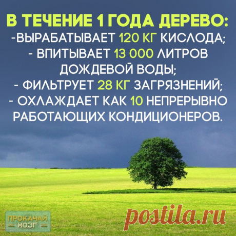 (1) Facebook