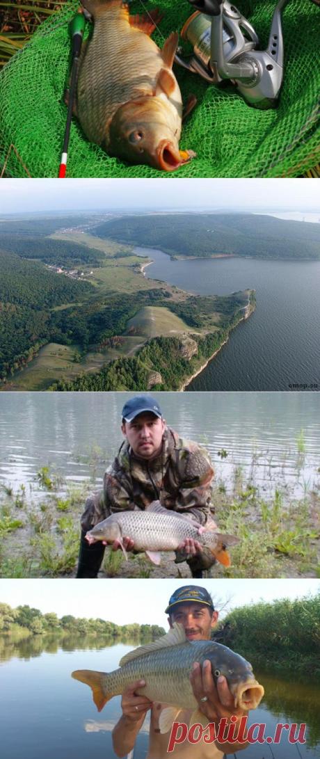 Рыбалка на сазана в Усинском заливе Самарской области