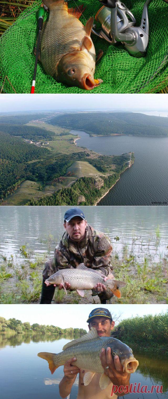 Рыбалка на сазана в Усинском заливе Самарской области