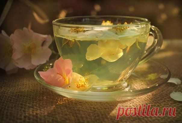 Как очистить организм от шлаков и токсинов? 5 очищающих напитков.