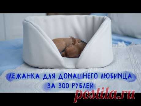 Лежанка для собаки своими руками / Мастер-класс