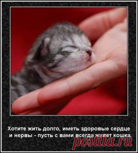 ~~ВСЯКИЕ ПОЛЕЗНОСТИ ДЛЯ ТЕБЯ! - Группы Мой Мир