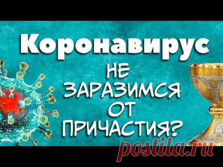 Можно ли коронавирусом заразиться от Причастия? (о. Владимир Головин)