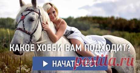 Какое хобби вам подходит?