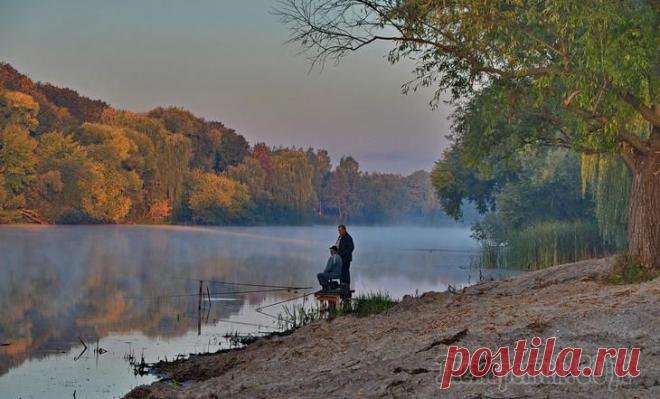 Раннее утро на реке