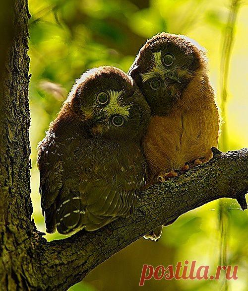 Мой Мир@Mail.Ru