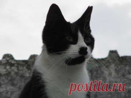 (2) Facebook