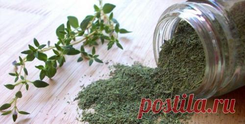 8 натуральных продуктов, уничтожающих паразитов в организме