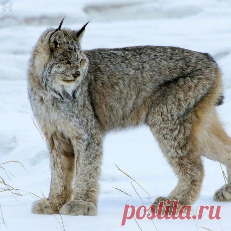 Мой Мир@Mail.Ru