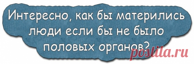 Жена призналась мужу, что изменила ему, когда он был на рыбалке...