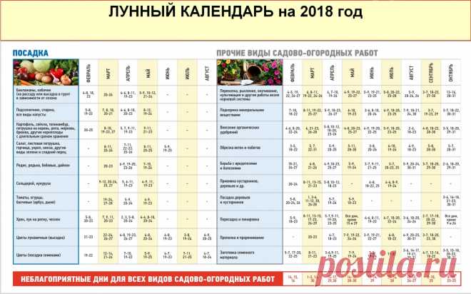 Какую рассаду сажают в феврале 2018: таблица благоприятных дней для посадки семян