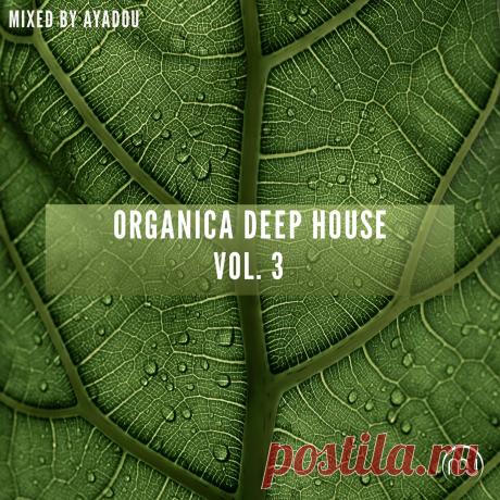 VA - Organica Deep House Vol. 3 MCS038 » MinimalFreaks.co