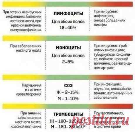 Расшифровка анализов крови. Обязательно сохрани себе, 100% пригодится!