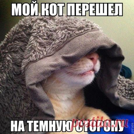 Чёткие приколы