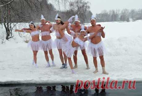 The most interesting and funny performances, what do you think? It's fun, Well done !! WALRUS
