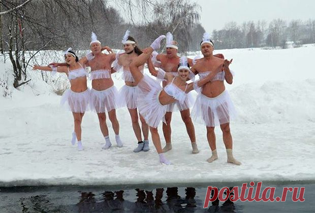 The most interesting and funny performances, what do you think? It's fun, Well done !! WALRUS