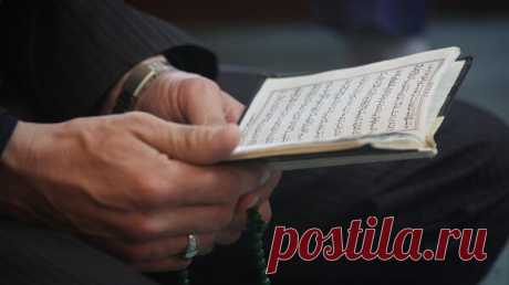 Ирак впечатлила позиция России по инциденту с сожжением Корана в Швеции