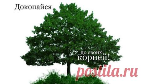 Как начать и провести генеалогическое исследование ? « SuperPraktik.ru