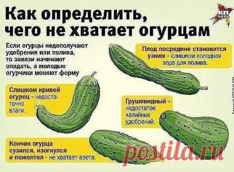 Пригодится!