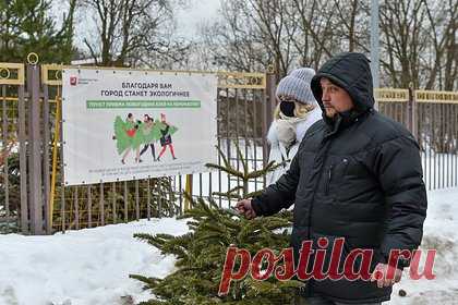 Россиянам напомнили правила выброса елок. Выбрасывать новогоднюю елку в обычный мусорный контейнер нельзя. Правила утилизации дерева после праздников россиянам напомнил эксперт по экологии и ответственному потреблению Максим Голованов, передает «Газета.Ru». Елку нужно выбрасывать в бункер большой вместимости, так как она занимает много места.