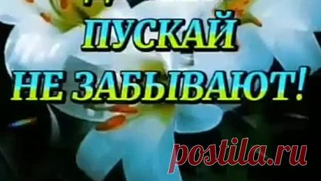 НА СВЕТЕ МНОГО ЕСТЬ ЧУДЕС !