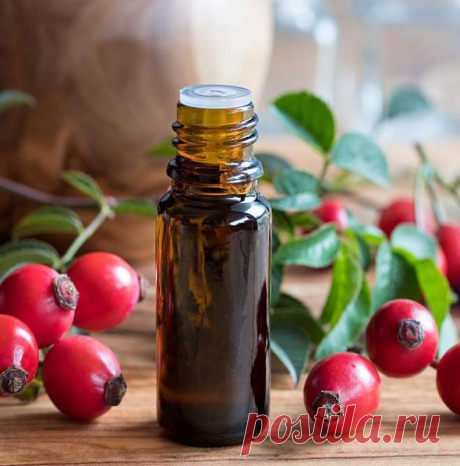 Масло шиповника – молодильное средство N1 | Всегда в форме!