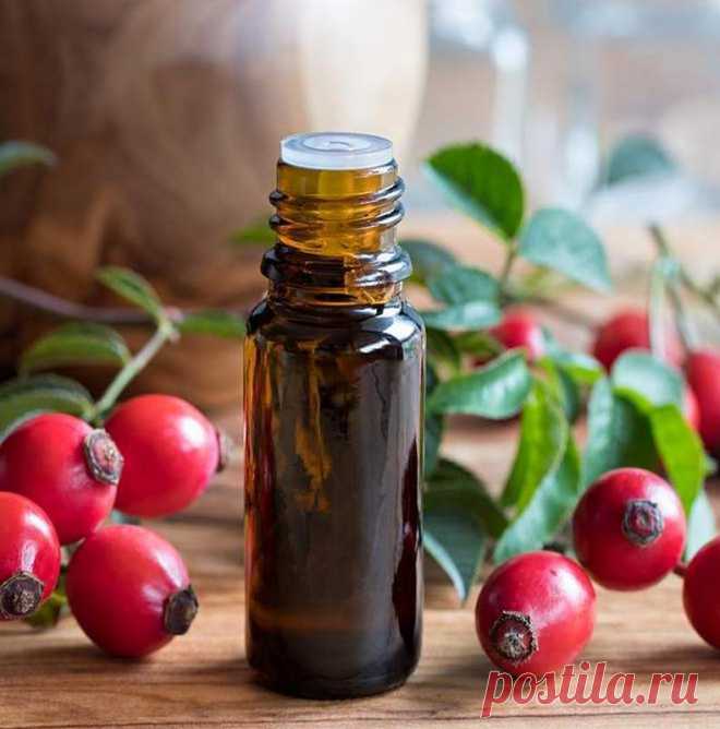 Масло шиповника – молодильное средство N1 | Всегда в форме!