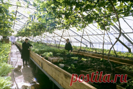 Про контент-маркетинг в нынешние времена https://denis.boltikov.ru/2025/kontent-marketing.html