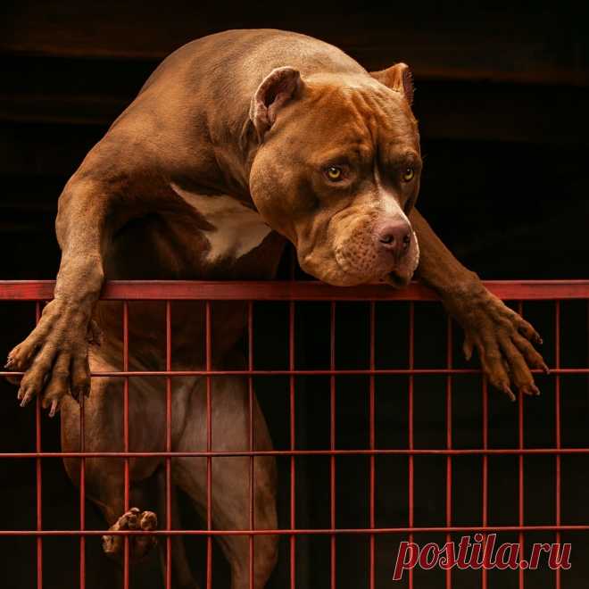 Сладкая парочка - OGADANIE.RU