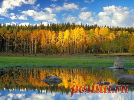 *****осень***