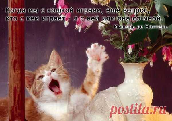 Интересные новости