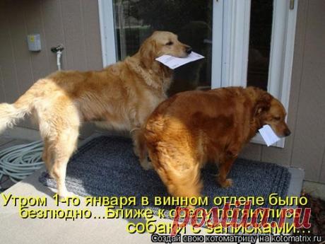 улыбнитесь! / Болталка / Юмор