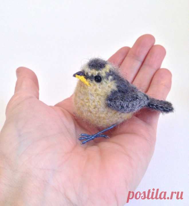 Птички Jose Heroys