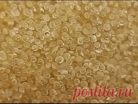 Амарант. Амарантовая каша как готовить. Щирица.