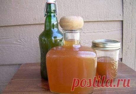 Новое » В сети – себя просвети!