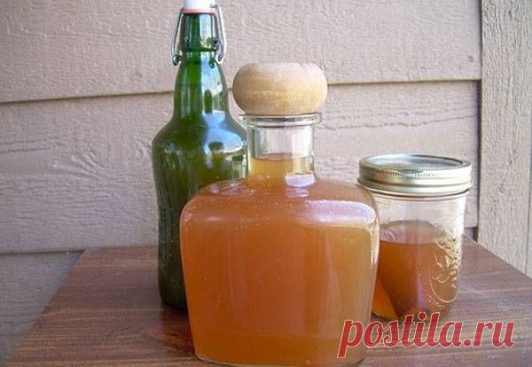 Новое » В сети – себя просвети!