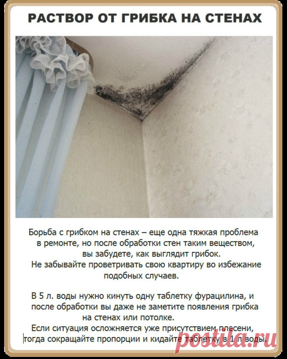 советы по дому | Записи с меткой советы по дому | Дневник Nina_Stavitskaya