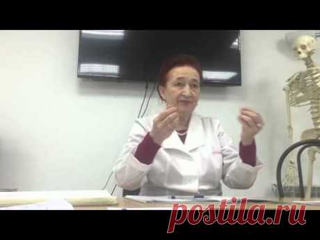 Анатомия. Миология. Мышцы. Урок 1, основы. КМИ