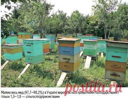 Мнения - Мед має стати візитівкою України ! - AgroTimes