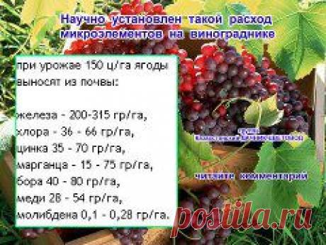 Вынос удобрений из почвы виноградом