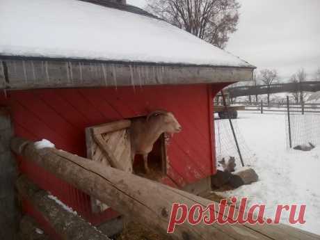 Онтарио. Канада