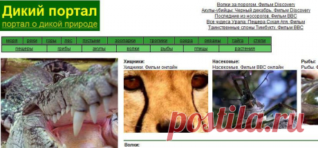 Дикий портал -- О дикой природе: моря; реки; горы; лес; пустыни; зоопарки; тропики; озера; океаны; тайга; степи; пещеры; грибы; акулы; волки; рыбы; птицы; растения и многое другое ...