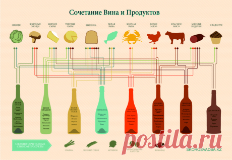 Какое вино выбрать для свадьбы? |Сочетание вина и продуктов