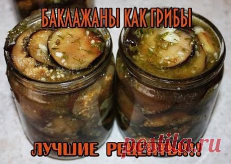 МАРИНОВАННЫЕ БАКЛАЖАНЫ СО ВКУСОМ ГРИБОВ
НА ЗИМУ
ИНГРЕДИЕНТЫ:
крупные баклажаны (длинные) – 3 шт;
лук – 3 головки;
чеснок – 5-6 крупных зубчиков;
растительное масло для обжаривания;
сушеный укроп – 3 щепотки.
Для маринада:
уксус столовый 9% - 2 ст. л;
сахар – 1 ч. ложка;
соль – неполная чайная ложка;
вода – 250 мл;
лавровый лист – 1-2 шт;
перец горошек – полчайной ложки.
РЕЦЕПТ ПРИГОТОВЛЕНИЯ:
Баклажаны моем, вытираем, отрезаем хвостики. Специальным ножом для чистки овощей сн