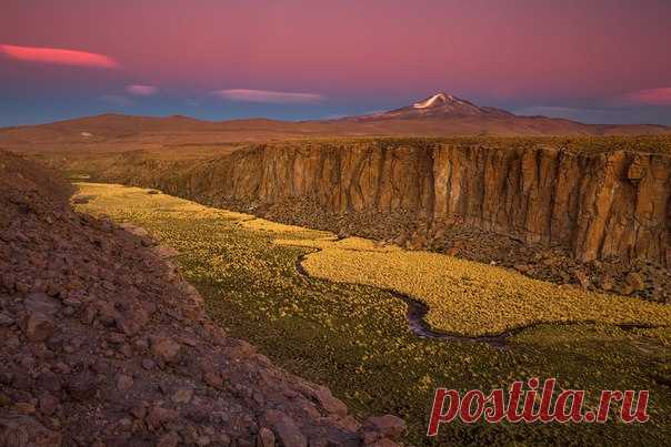 Плато Альтиплано, Боливия. Автор фото — Алексей Заводской: nat-geo.ru/photo/user/15184/