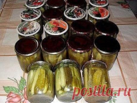 (30) Одноклассники