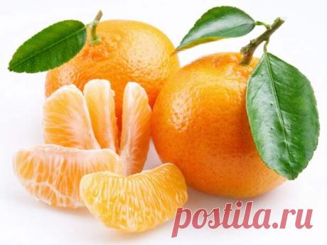 МАНДАРИНЫ: ВИДЫ, ВКУС, ПОЛЬЗА, ТОНКОСТИ ВЫБОРА. - медиаплатформа МирТесен Приближается Новый год, а этот праздник просто немыслим без сочных, ароматных, сладких мандаринов. Только вот в последние годы на прилавках магазинов и супермаркетов такое разнообразие различных плодов, что немудрено запутаться. Самыми вкусными и недорогими по праву считаются абхазские мандарины,