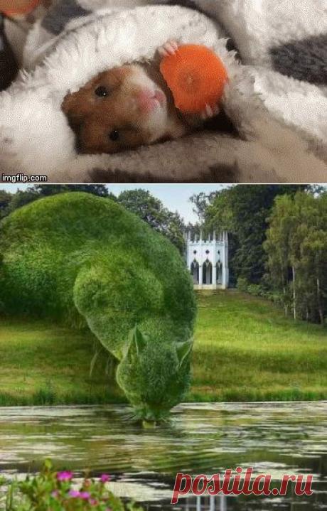 Одноклассники