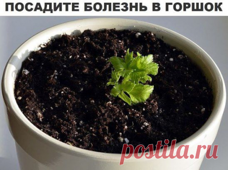 (71) Одноклассники